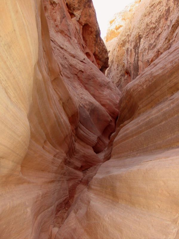 04160302LittleWildHorse (1115)